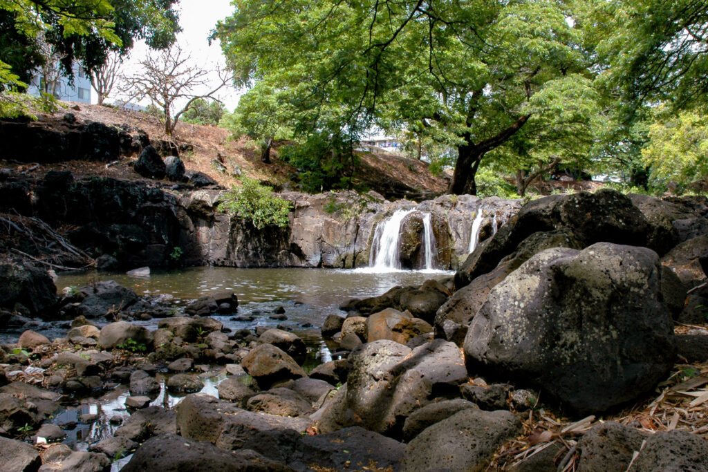 園内を流れる川の滝